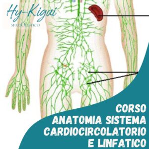 corso anatomia