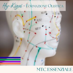 Corso MTC Online