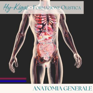 Anatomia Generale