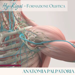 Corso Anatomia Palpatoria